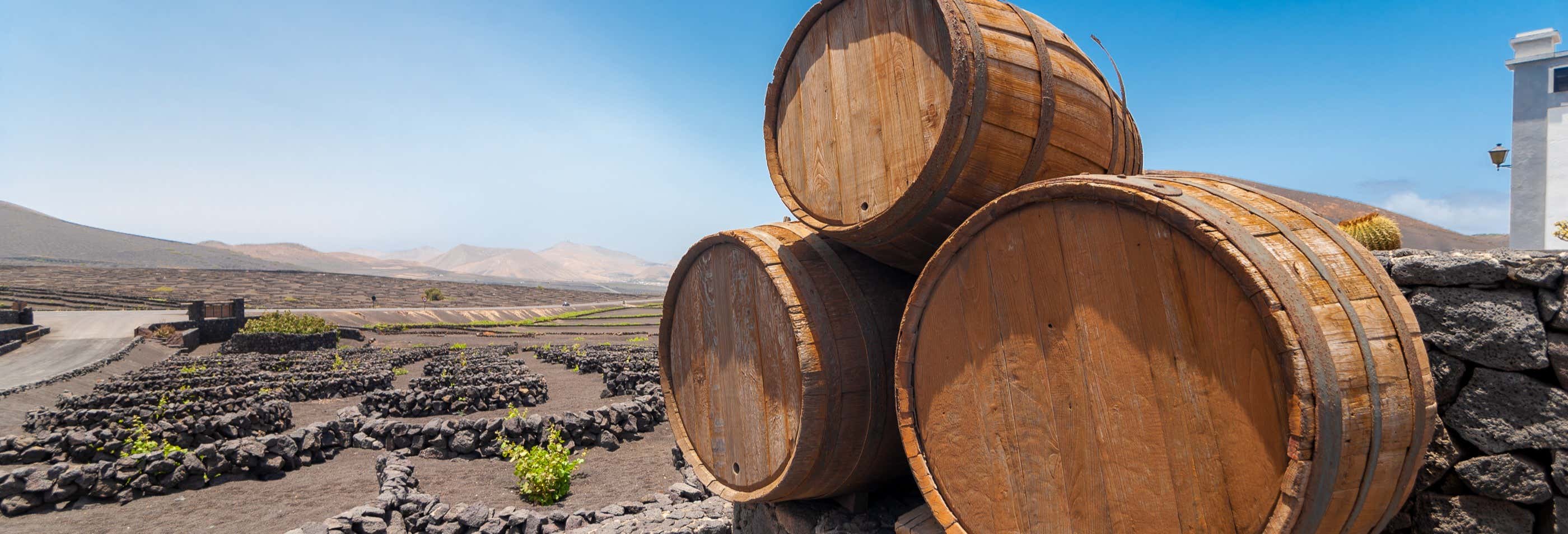 Excursiones de un día en Tías