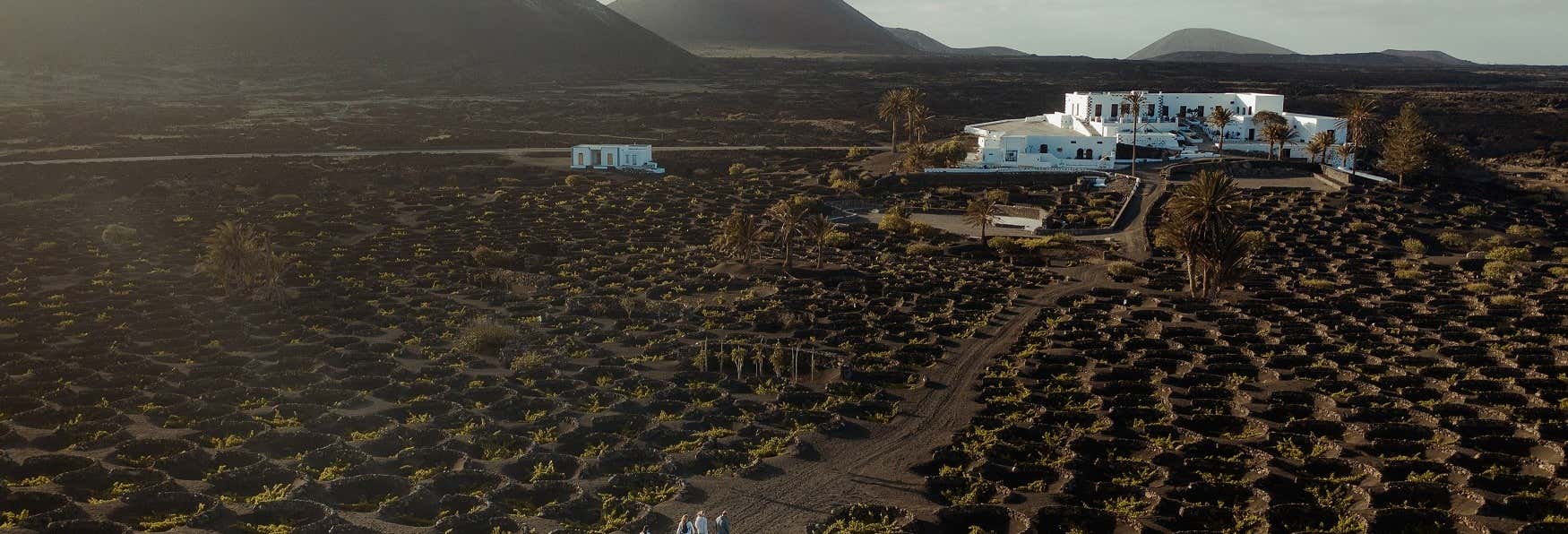 Gastronomía y enoturismo en Tías