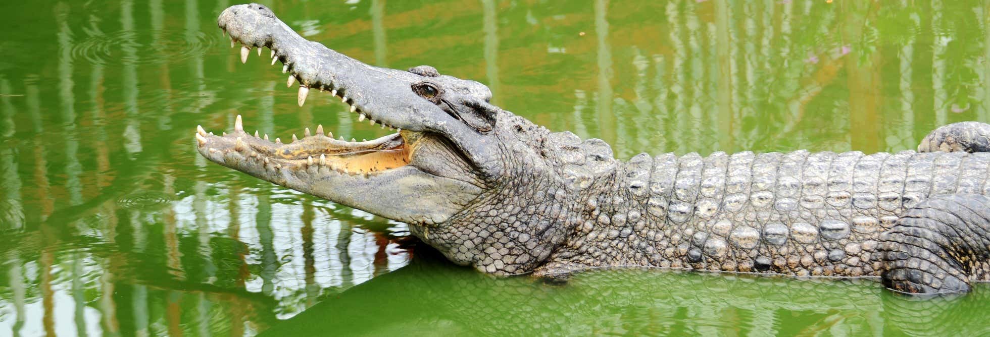 Entradas en Torremolinos