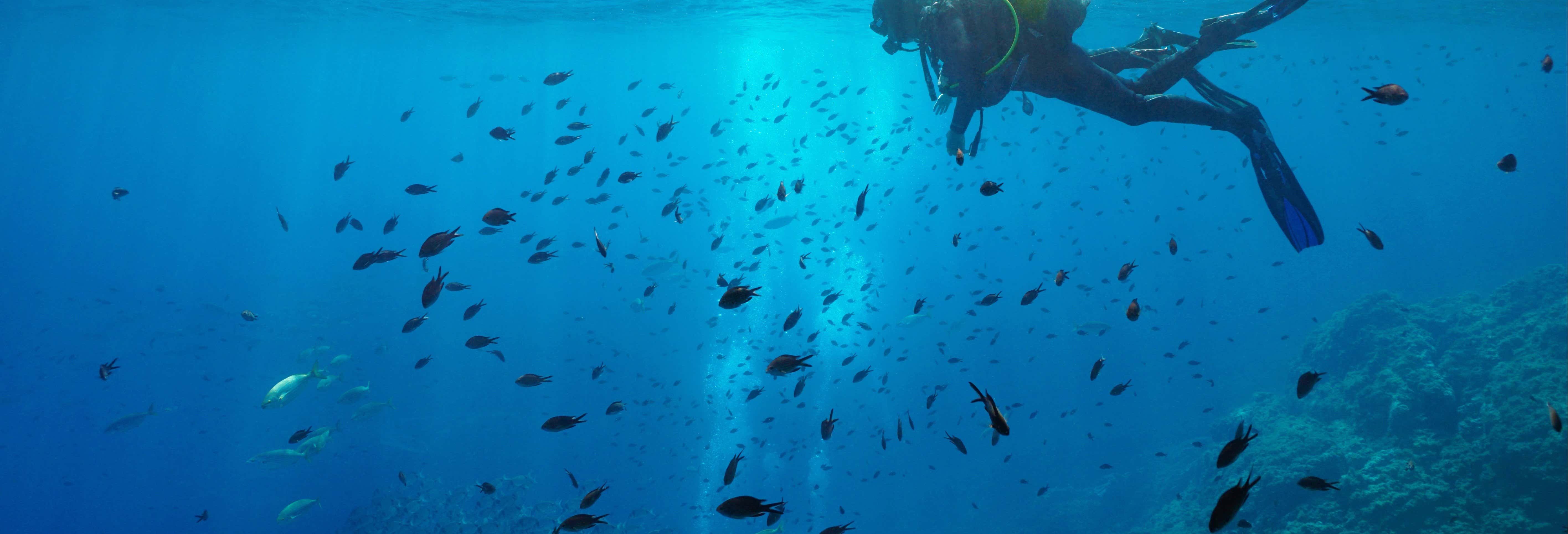 Accion y naturaleza en Tossa de Mar