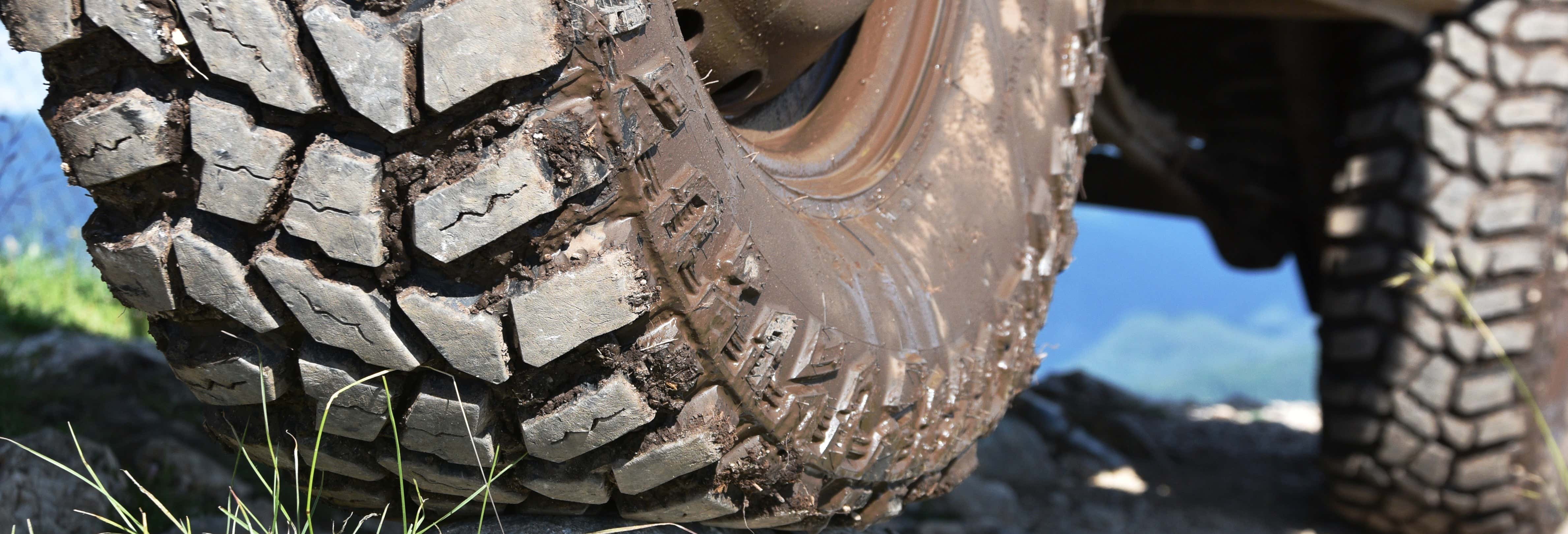 Accion y naturaleza en Valoria la Buena