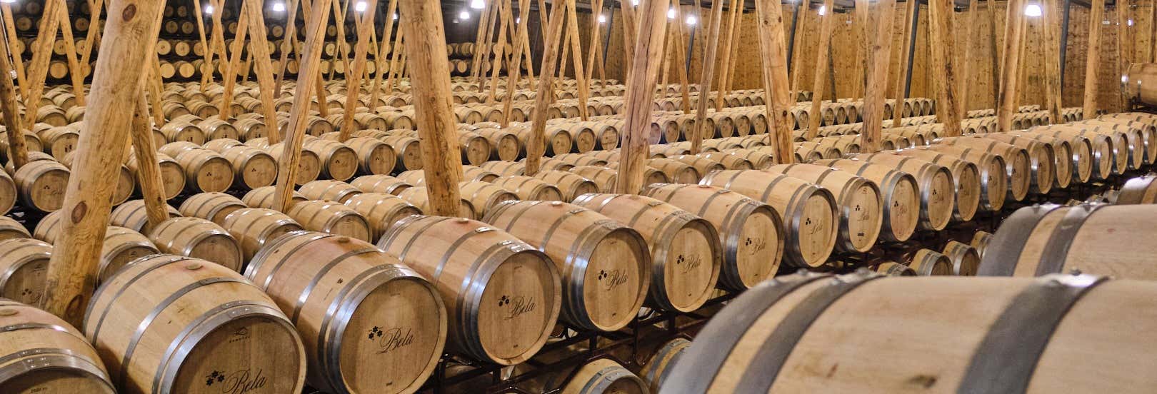 Gastronomía y enoturismo en Villalba de Duero