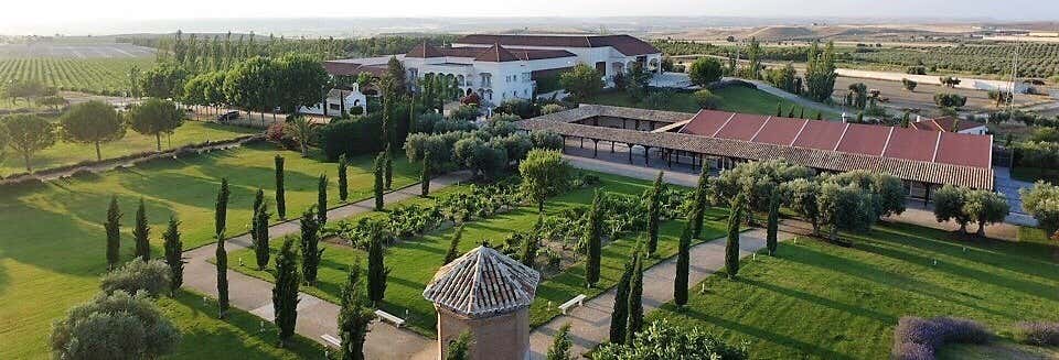 Gastronomía y enoturismo en Yepes