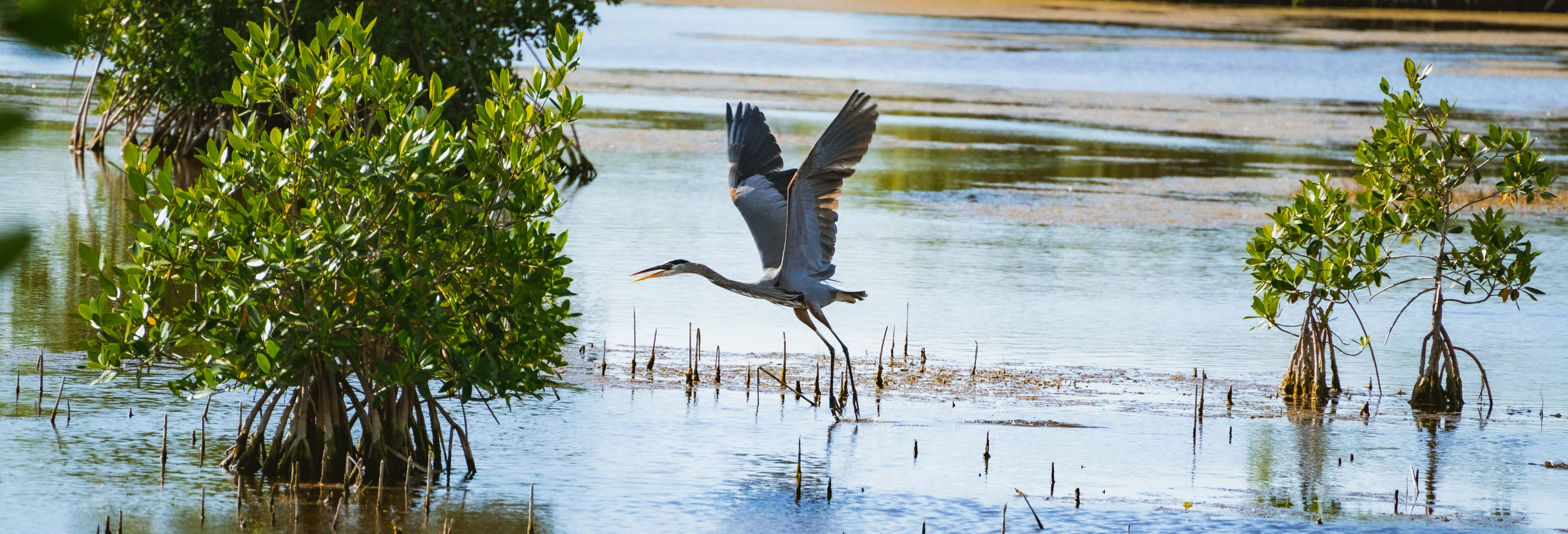 Excursiones de un día en Fort Myers