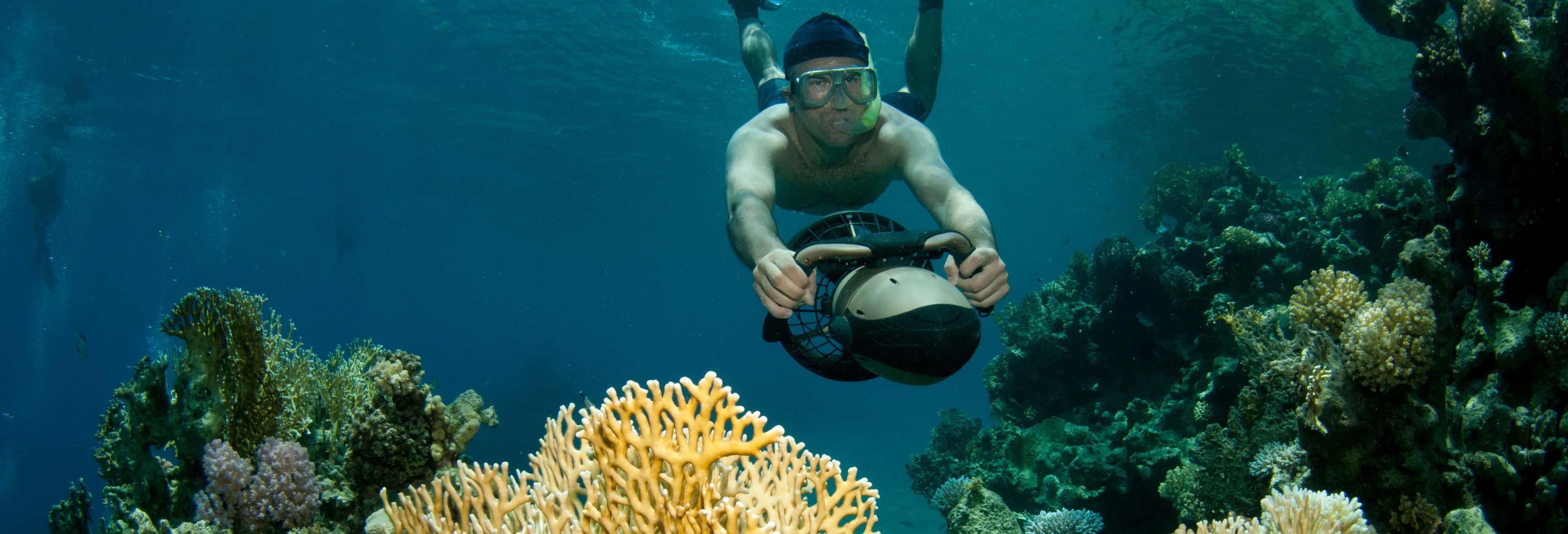 Excursiones de un día en Honolulu