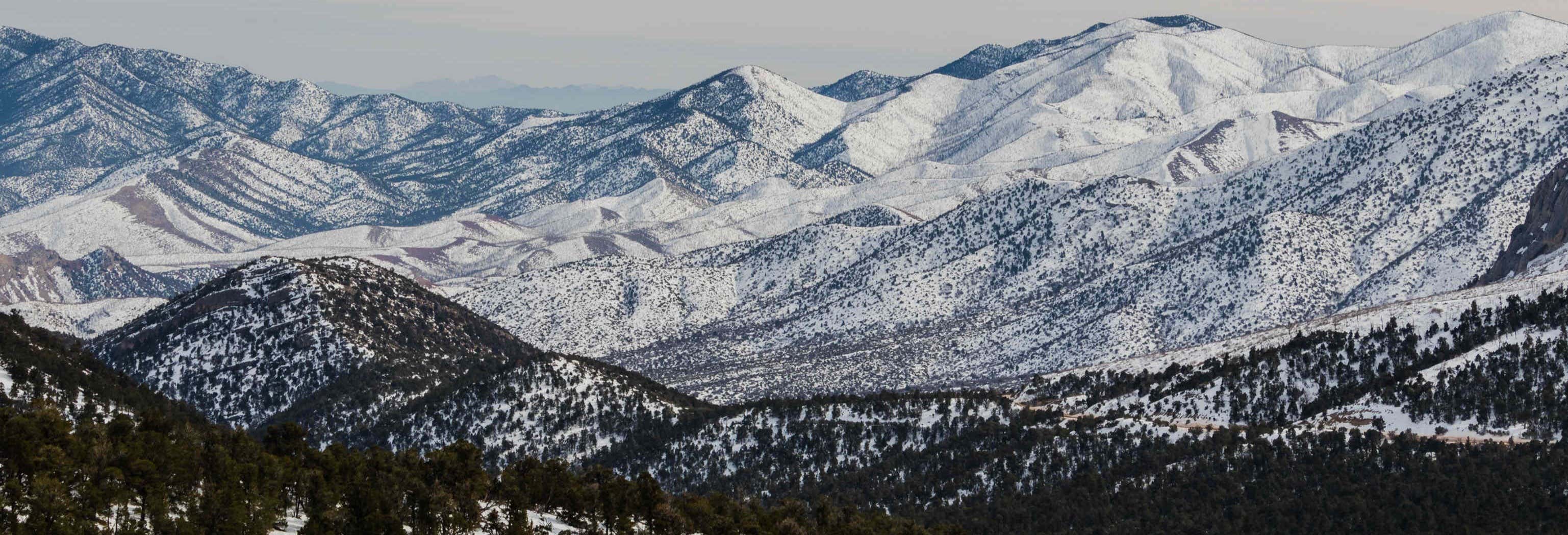 Excursiones de un día en Las Vegas