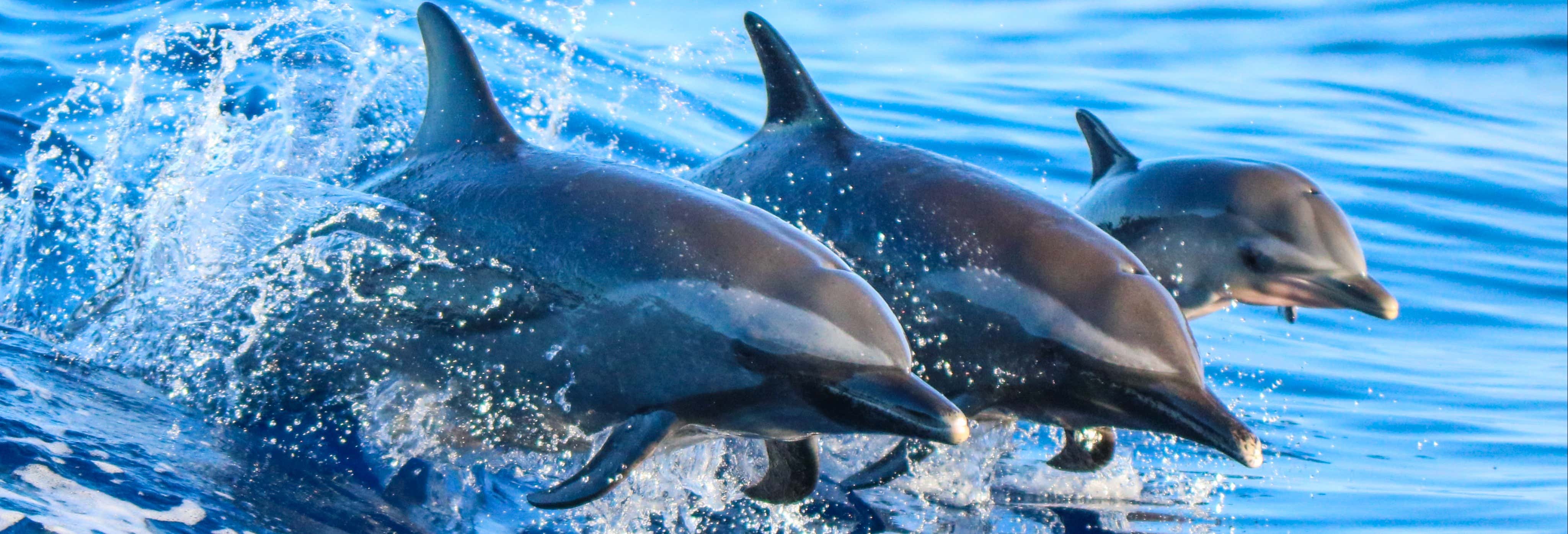Accion y naturaleza en Maui