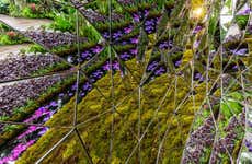 Billet pour le jardin botanique de New York