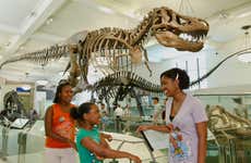 Biglietti per il Museo Americano di Storia Naturale