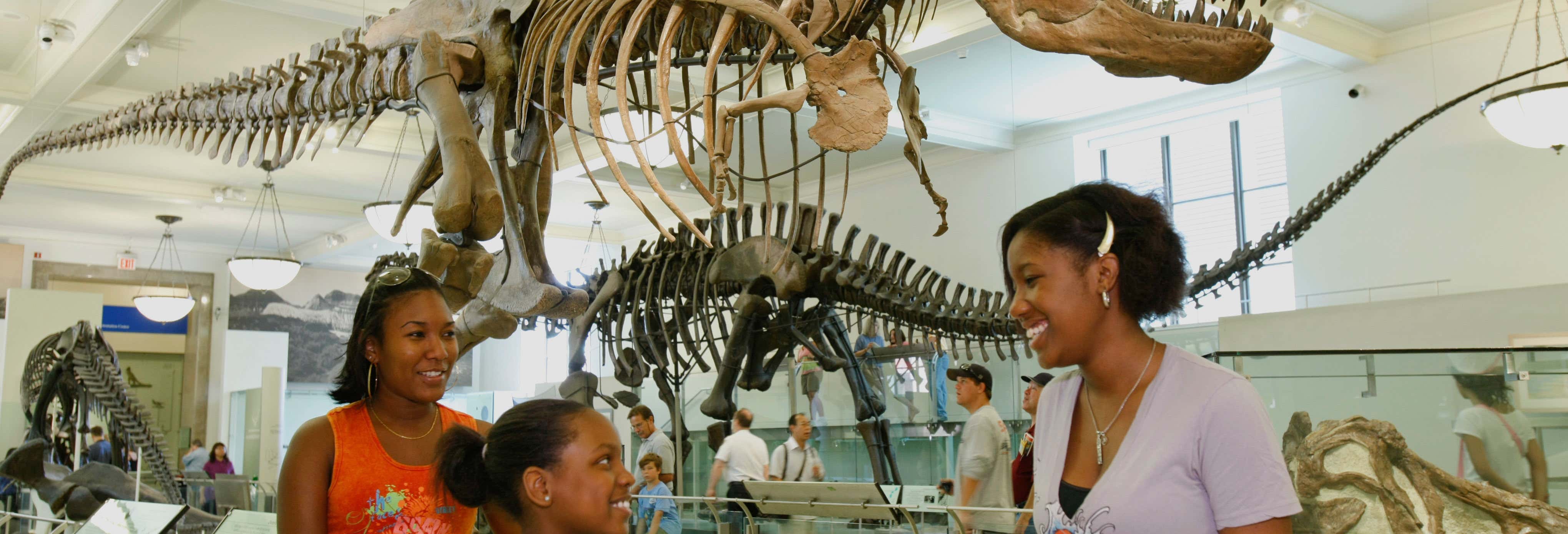 Entradas en Nueva York