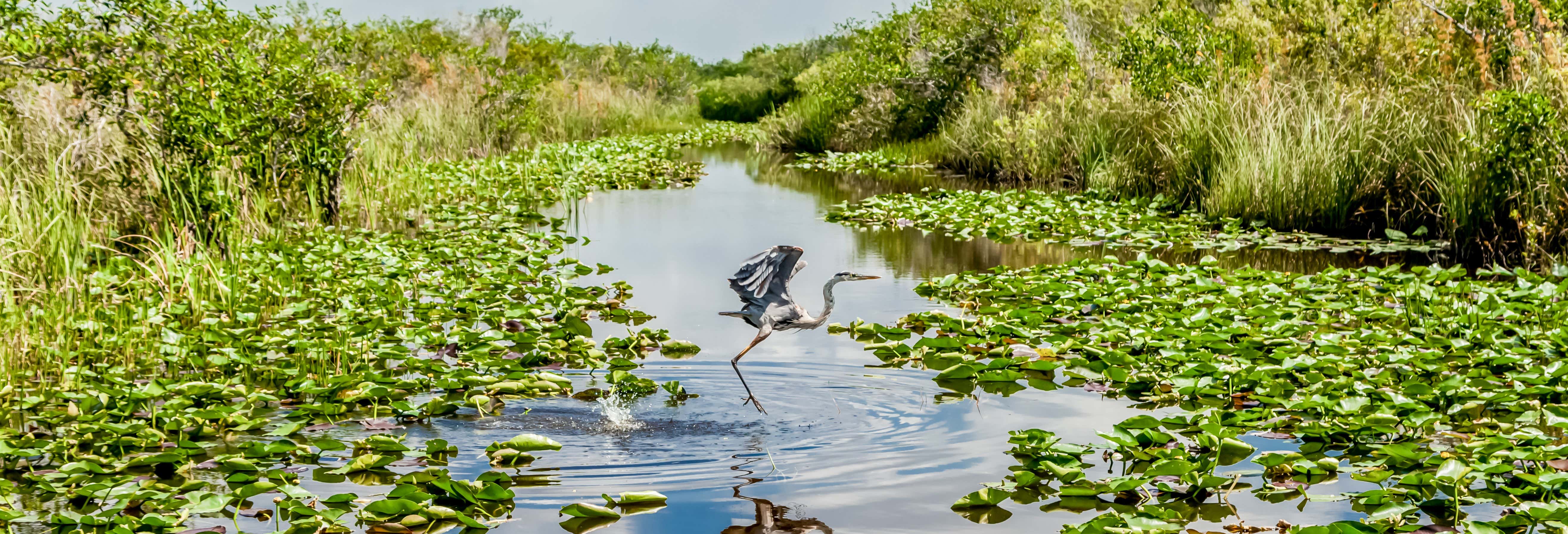 Paseos en barco en Orlando