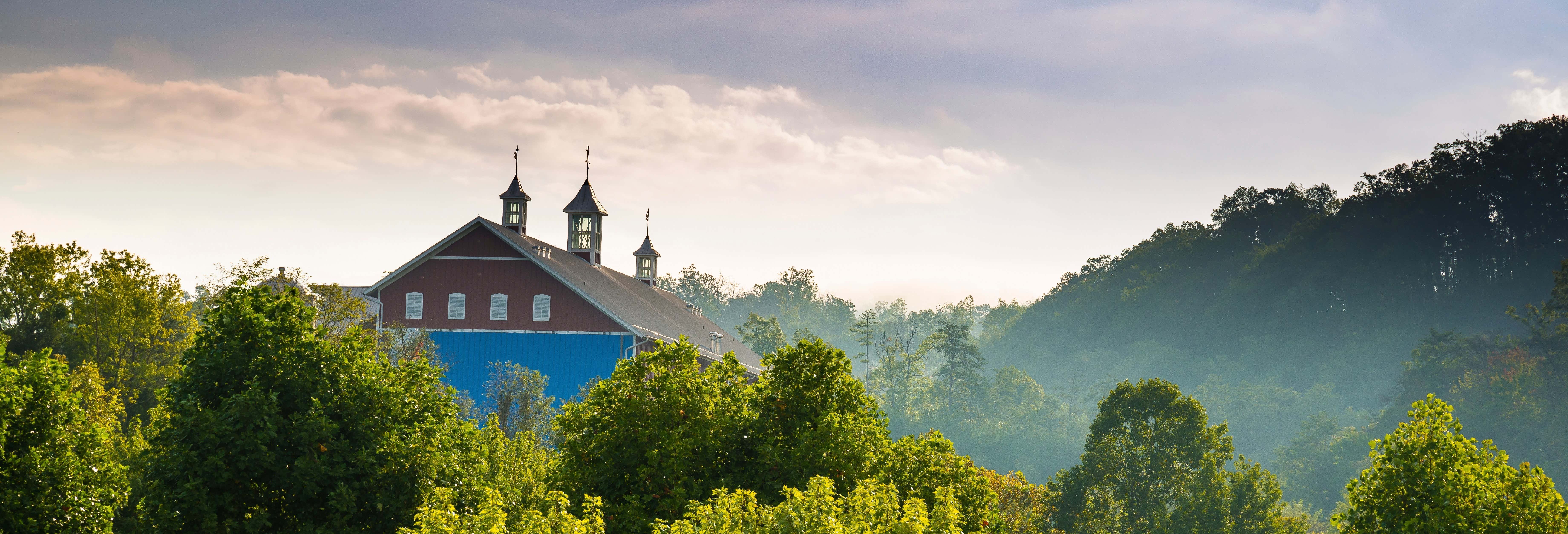 Entradas en Pigeon Forge