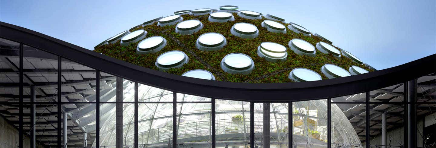 Entradas en San Francisco