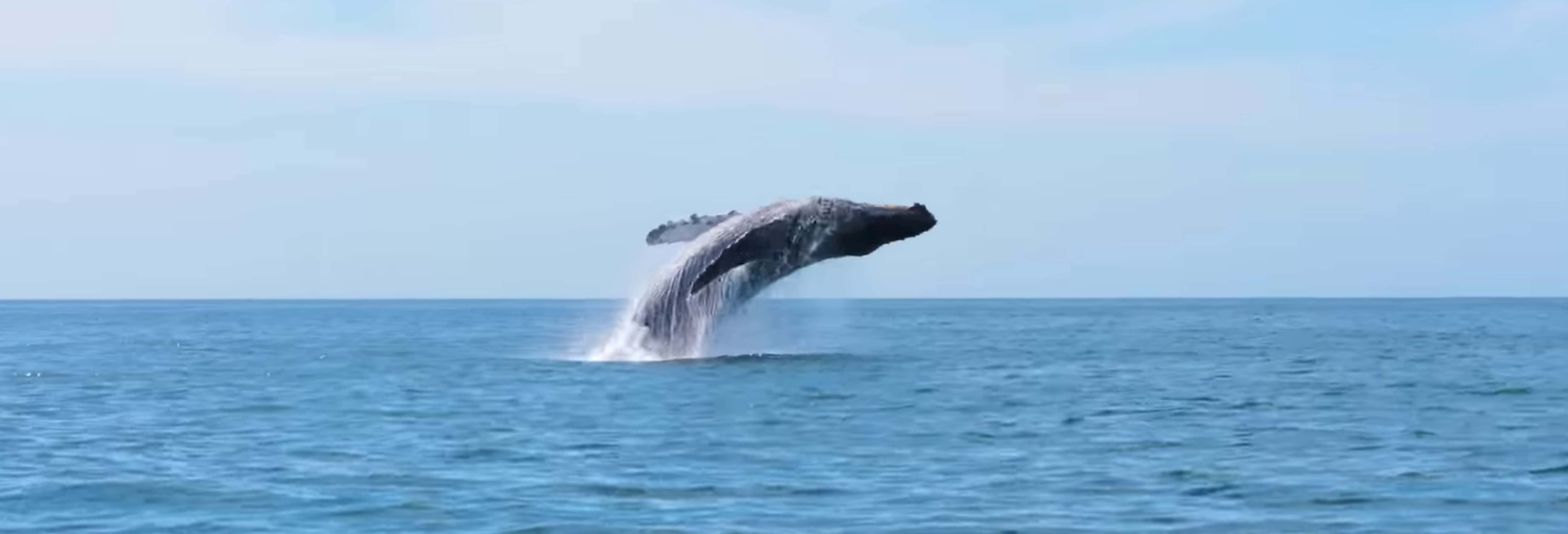 Excursiones de un día en Seattle