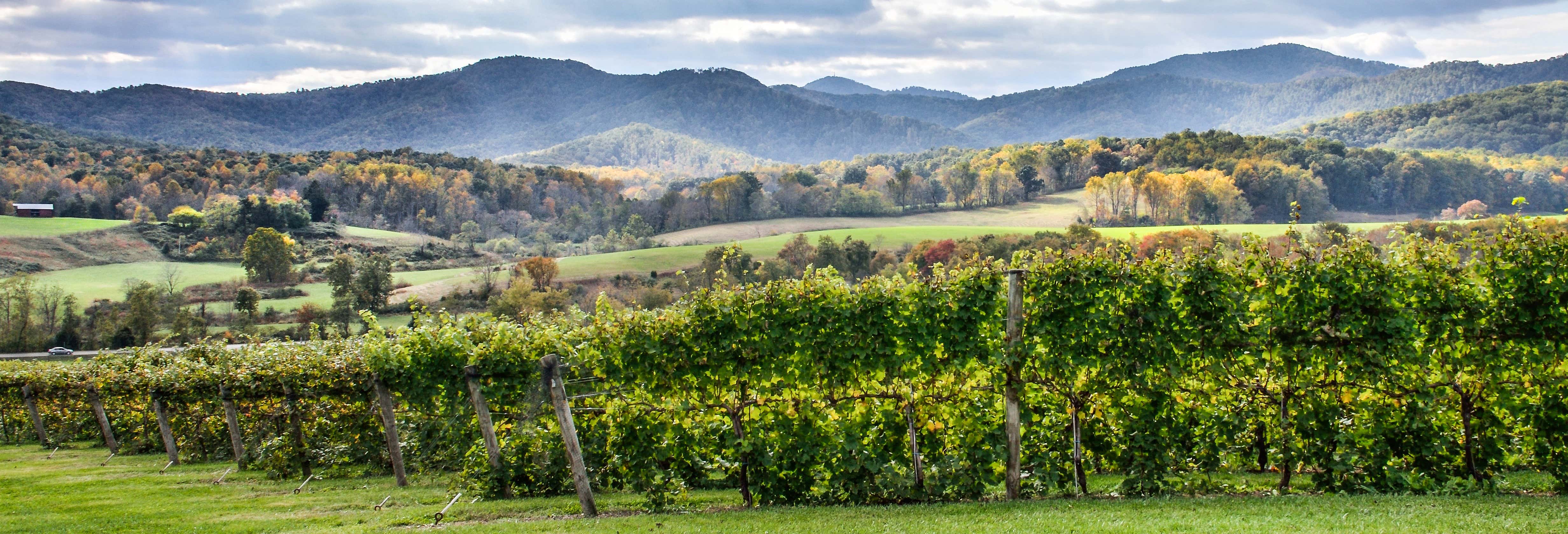 Excursiones de un día en Washington