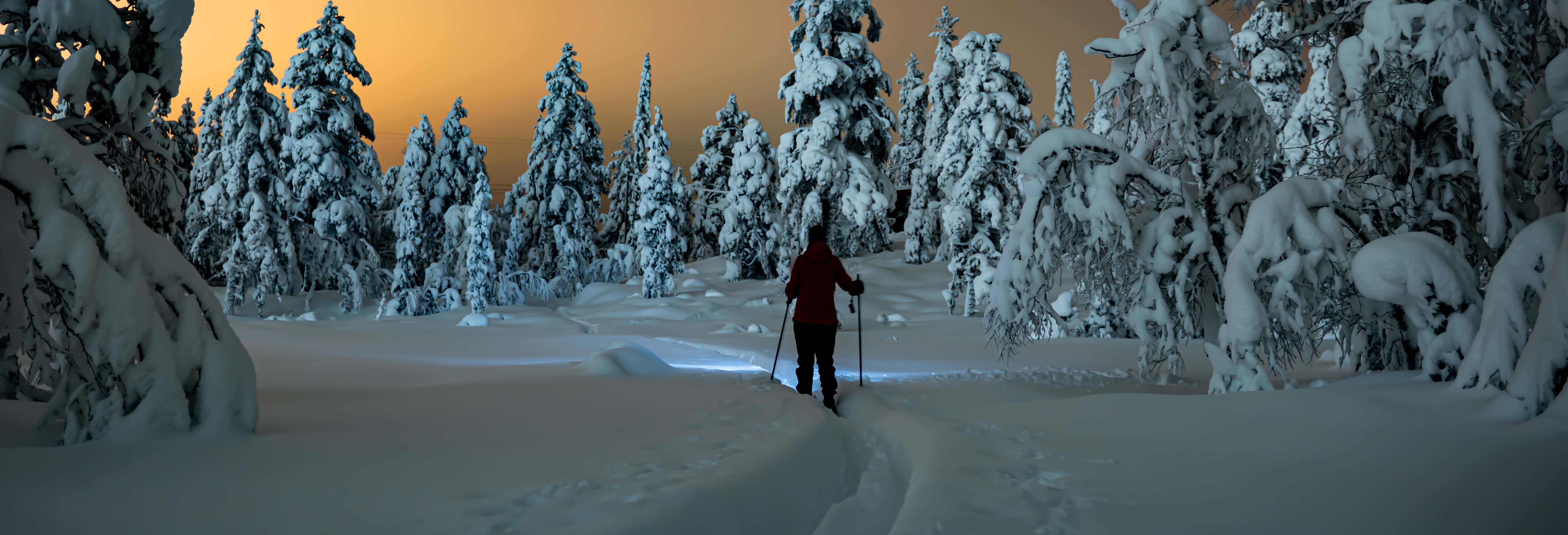 Visitas guiadas y free tours en Ylläsjärvi