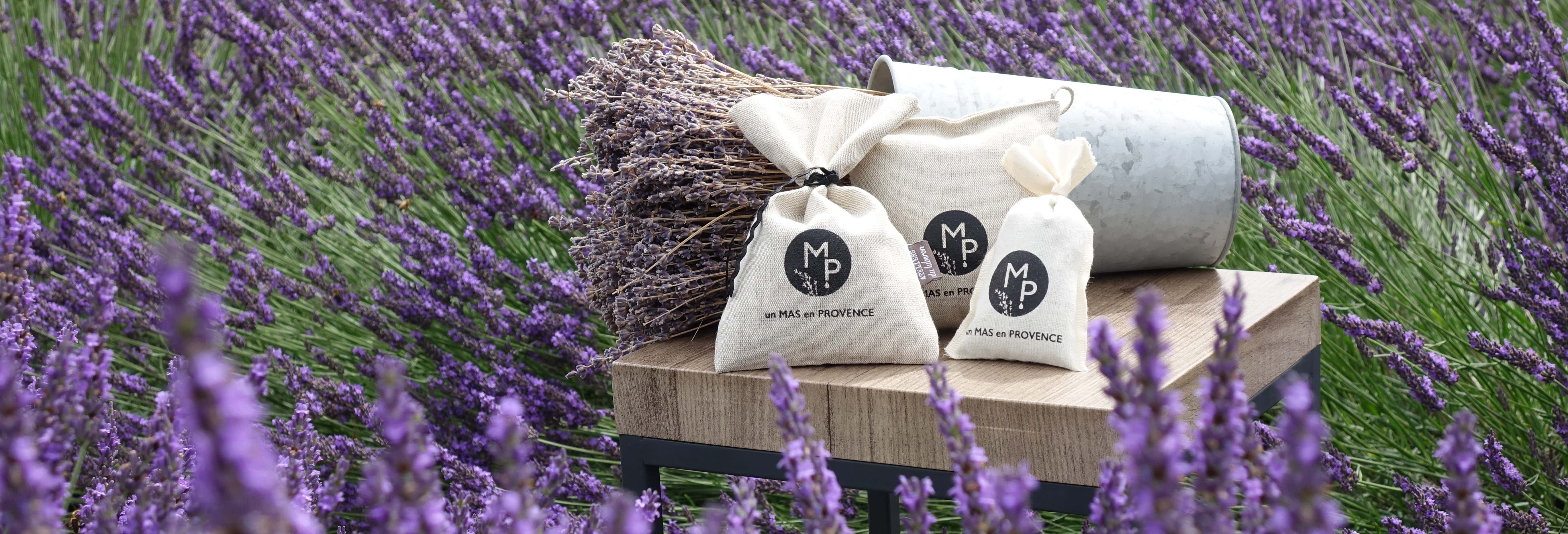 Visitas guiadas y free tours en Bellegarde