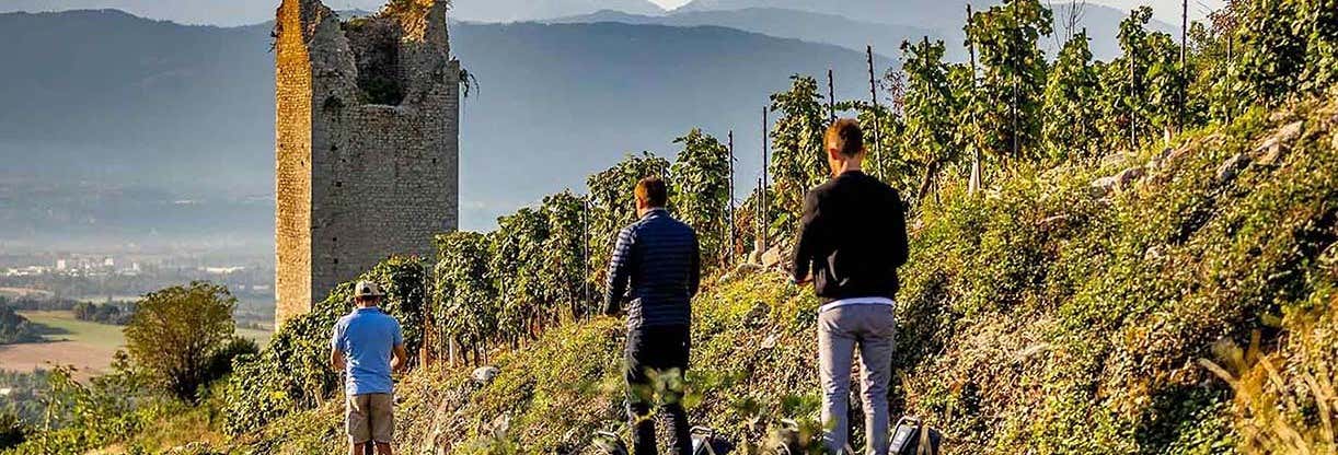 Visitas guiadas y free tours en Chignin