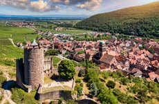 Tour por Alsacia + Cata de vinos