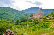 Day Trip to Eguisheim & Turckheim + Wine Tasting