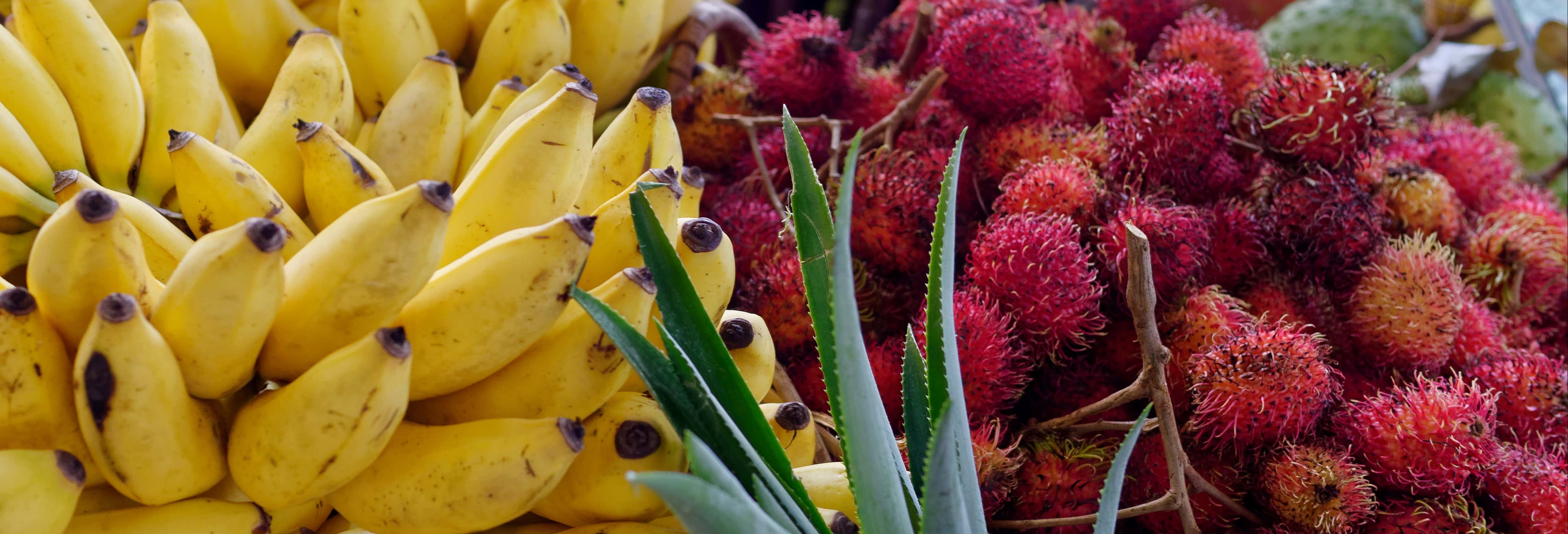 Gastronomía y enoturismo en Fort-de-France