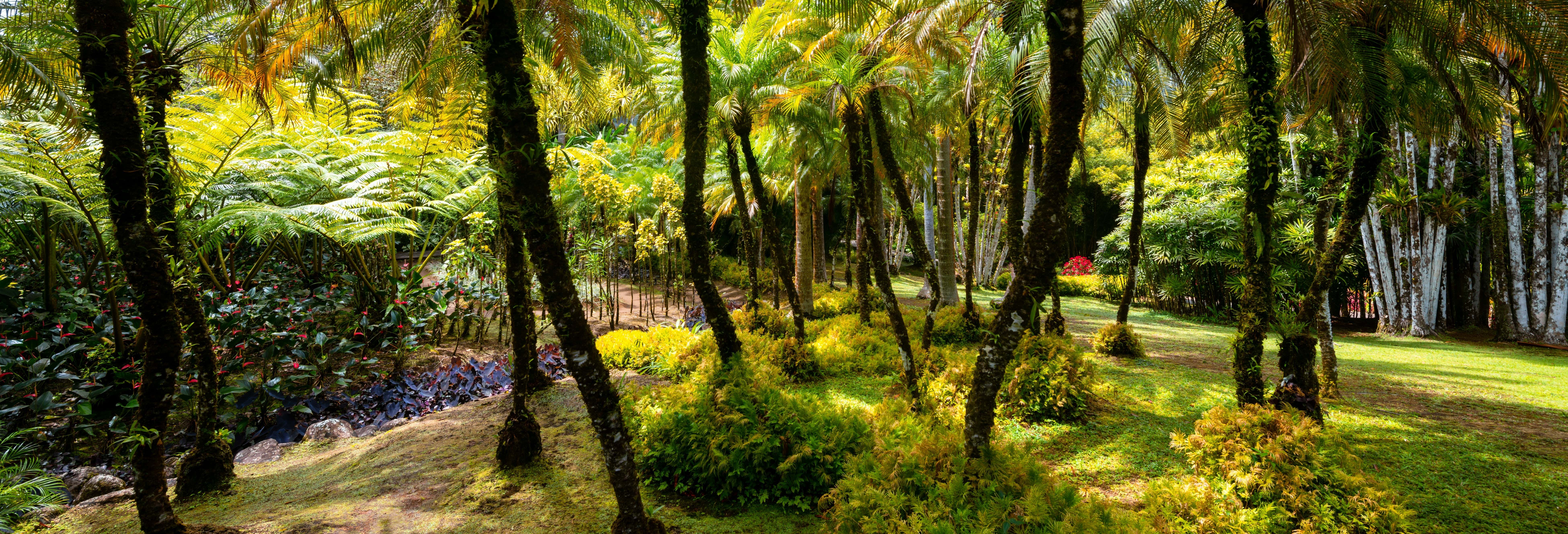 Excursiones de un día en Fort-de-France