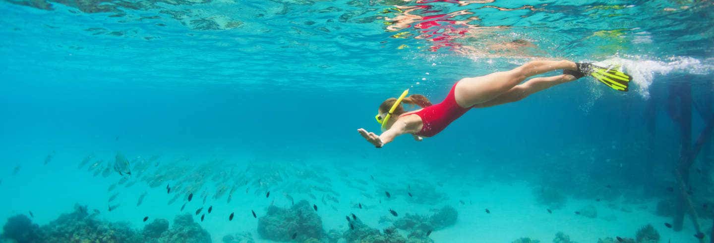 Accion y naturaleza en Marsella