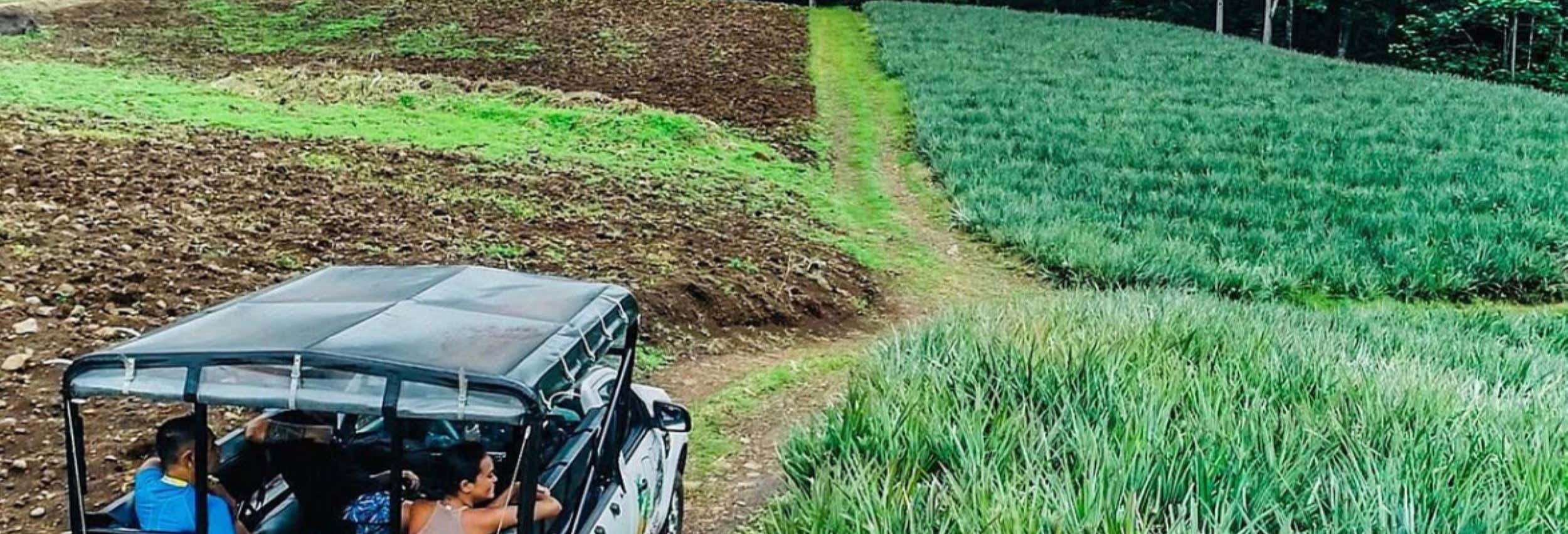 Visitas guiadas y free tours en Moorea