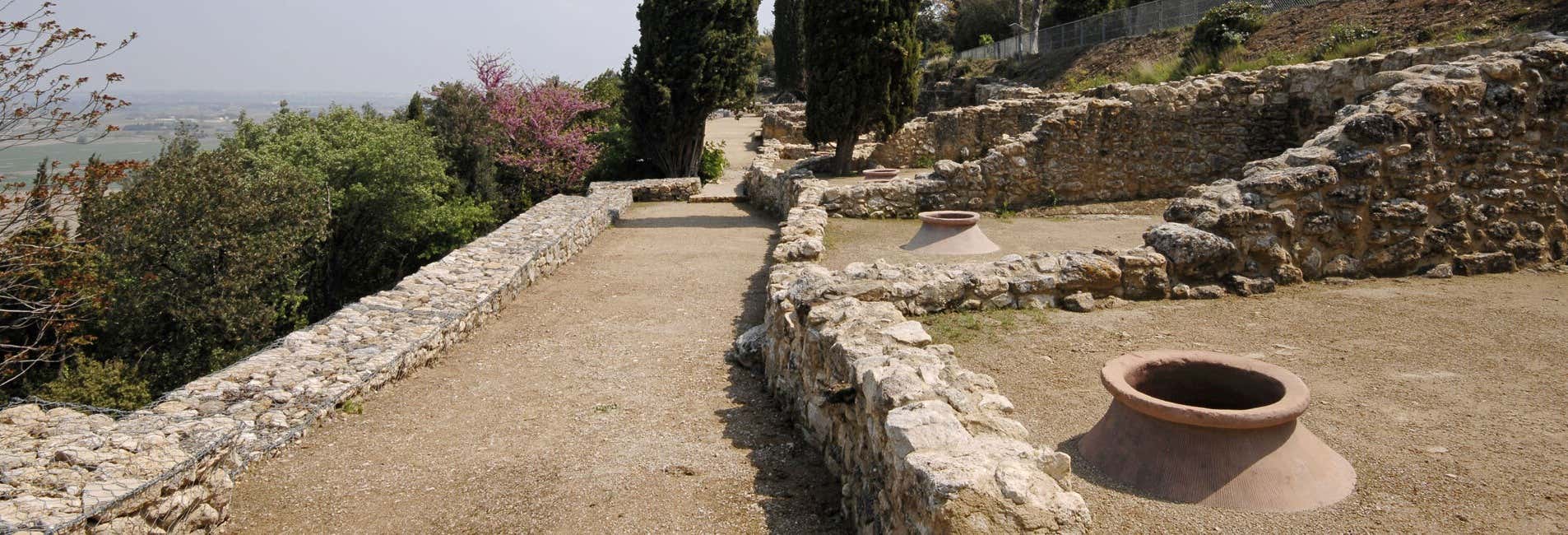 Entradas en Nissan-lez-Enserune