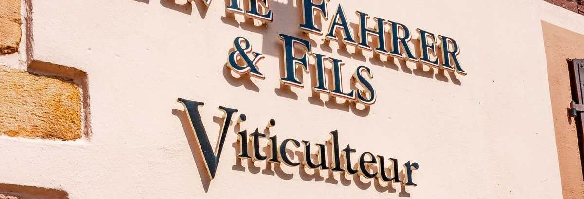 Gastronomía y enoturismo en Saint-Hippolyte