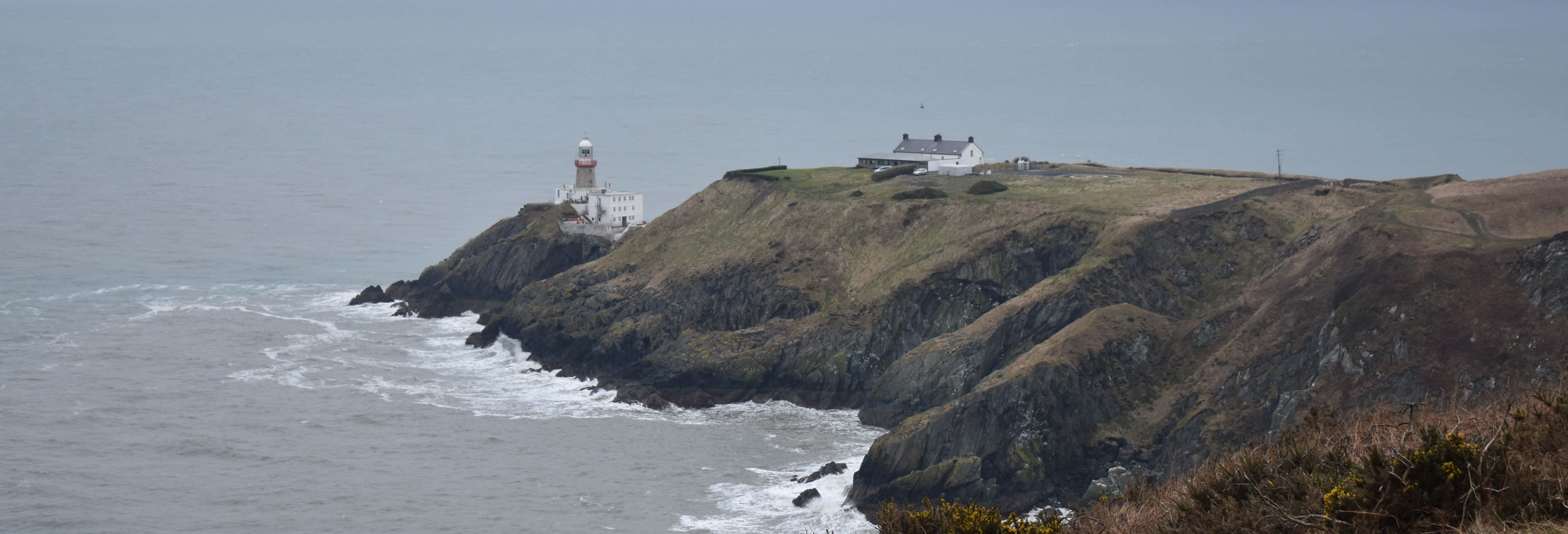 Accion y naturaleza en Dublín