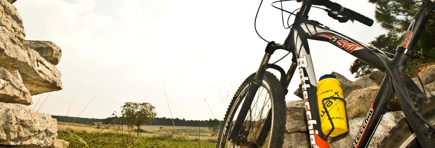 Visitas guiadas y free tours en Andria