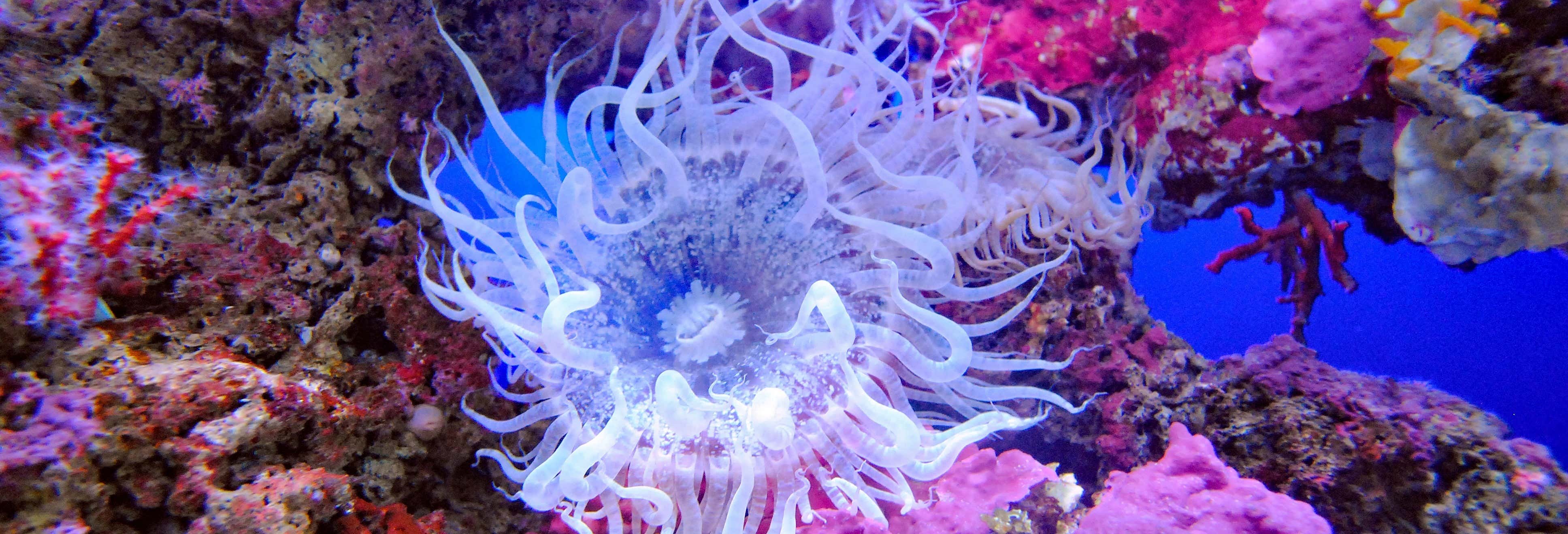 Entradas en Cala Gonone