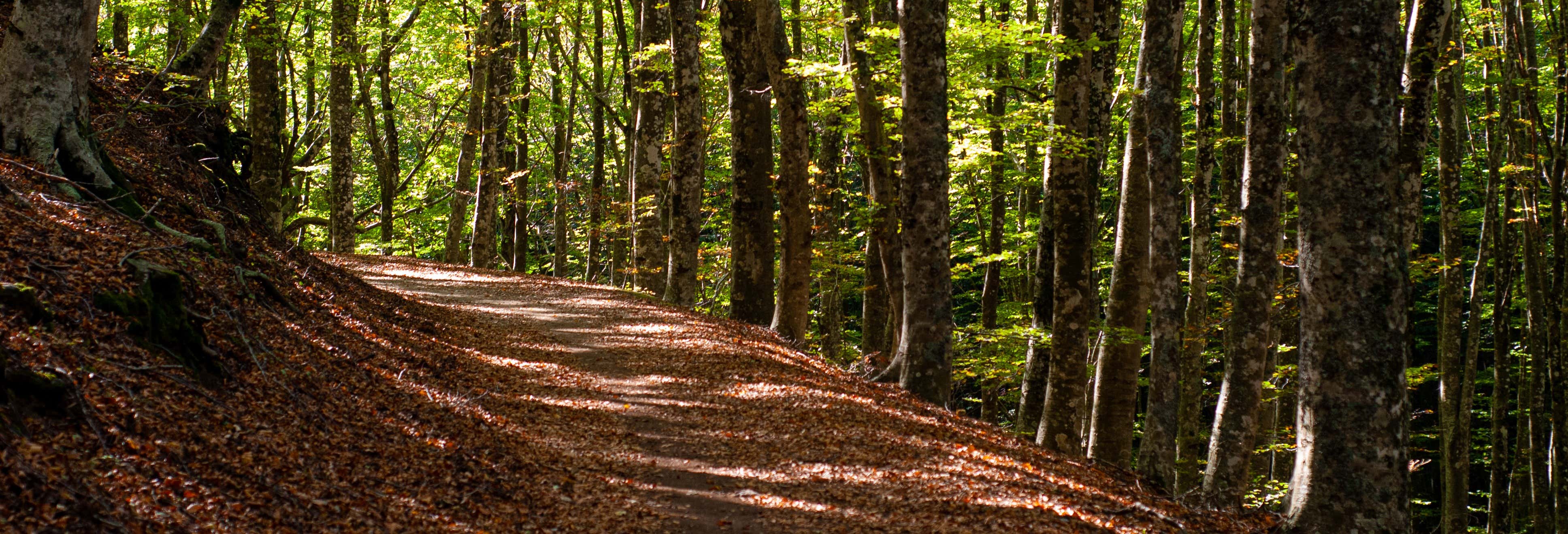 Accion y naturaleza en Gragnano