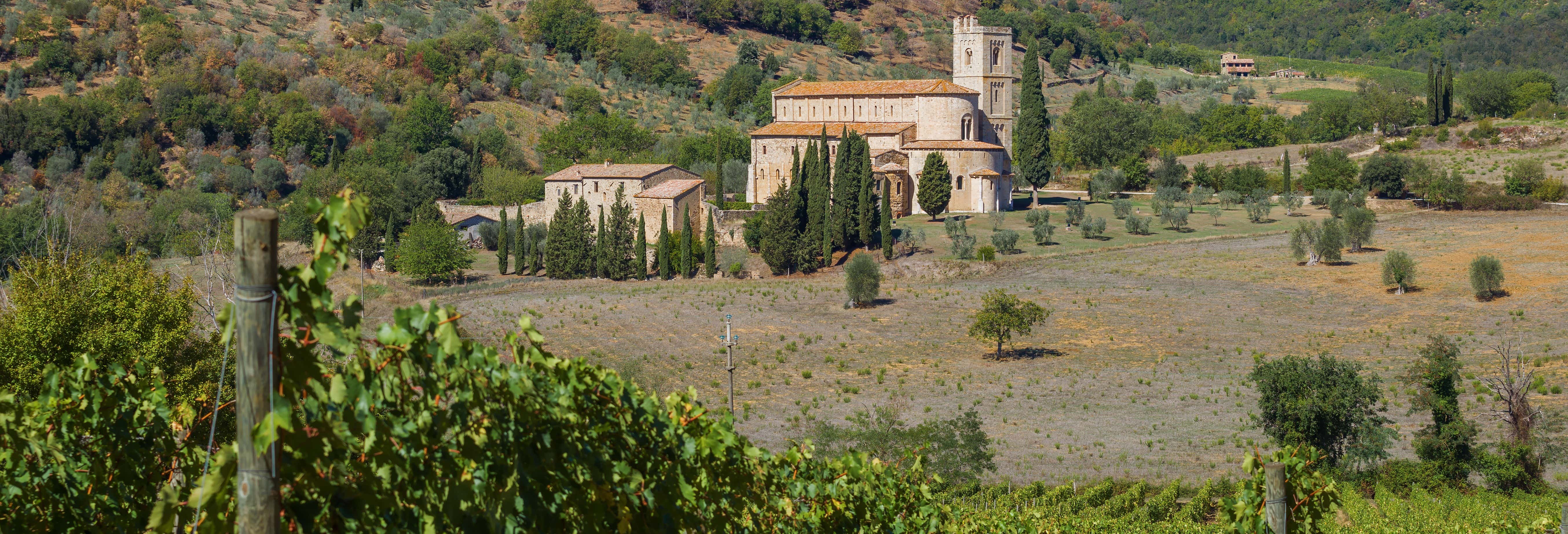 Visitas guiadas y free tours en Montalcino