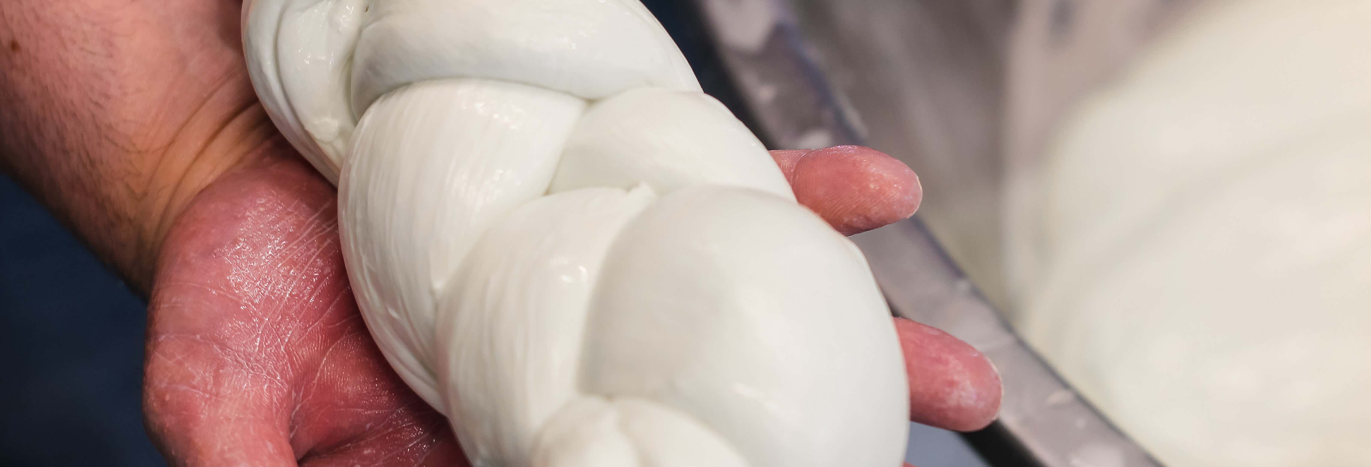 Excursiones de un día en Paestum