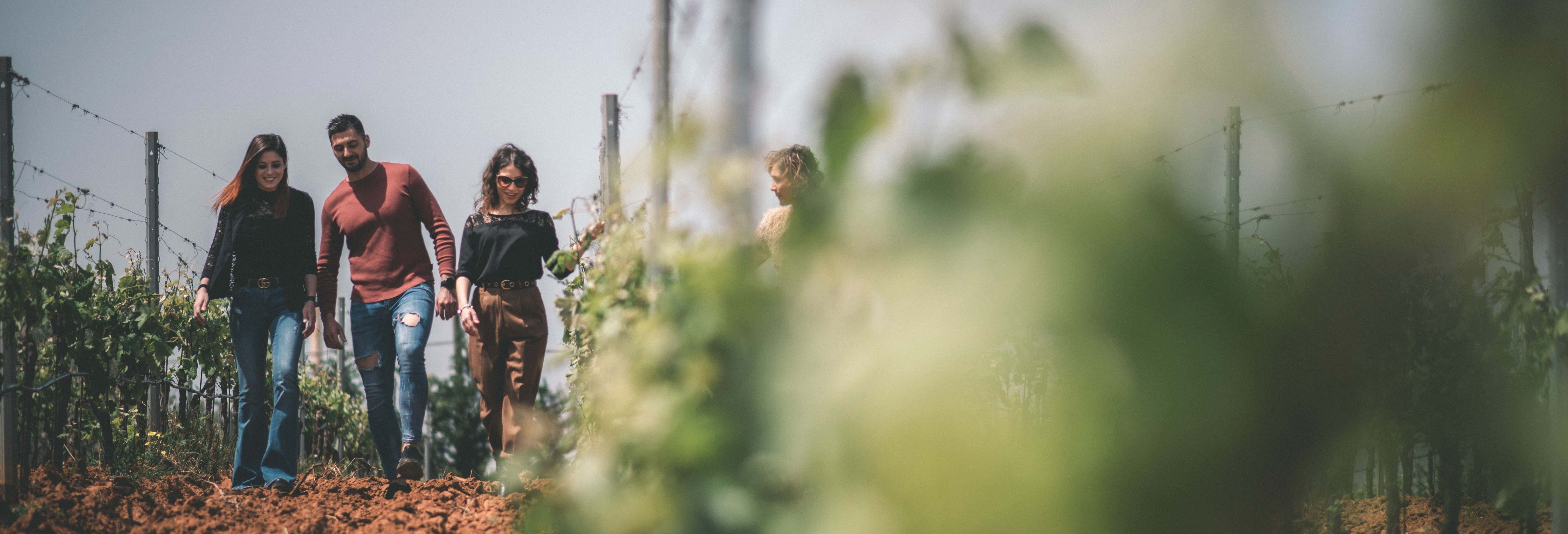 Gastronomía y enoturismo en Partinico