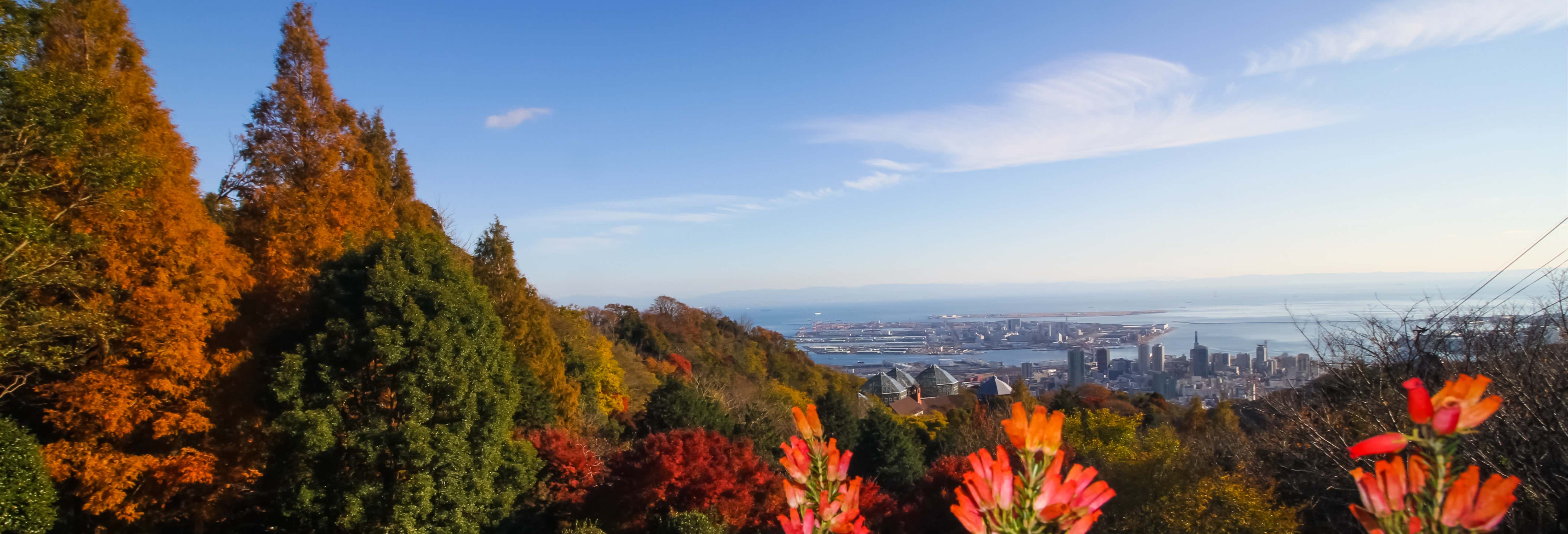 Visitas guiadas y free tours en Kōbe