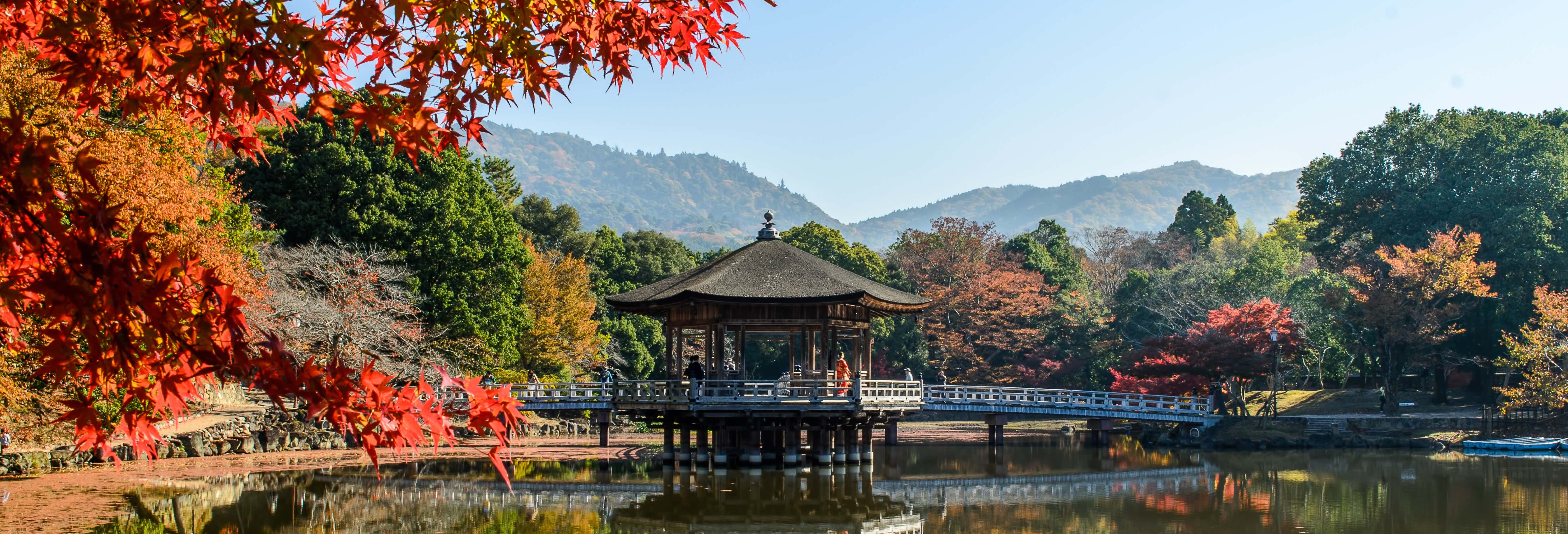 Visitas guiadas y free tours en Nara