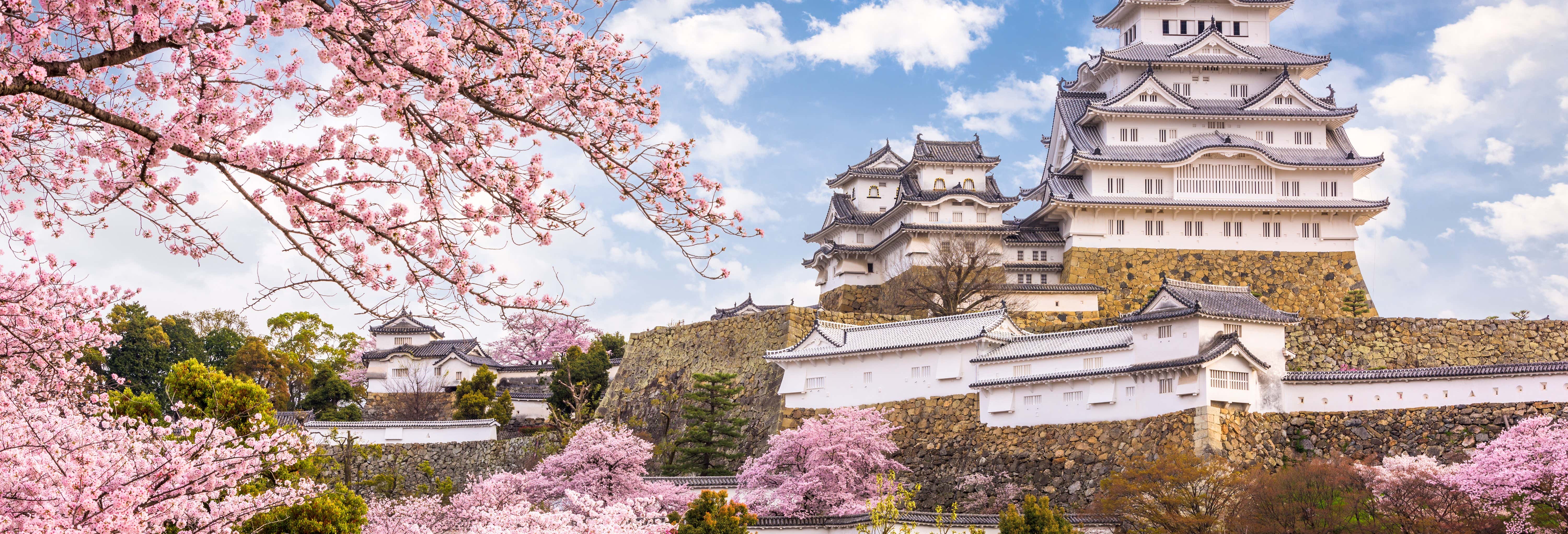 Excursiones de un día en Osaka