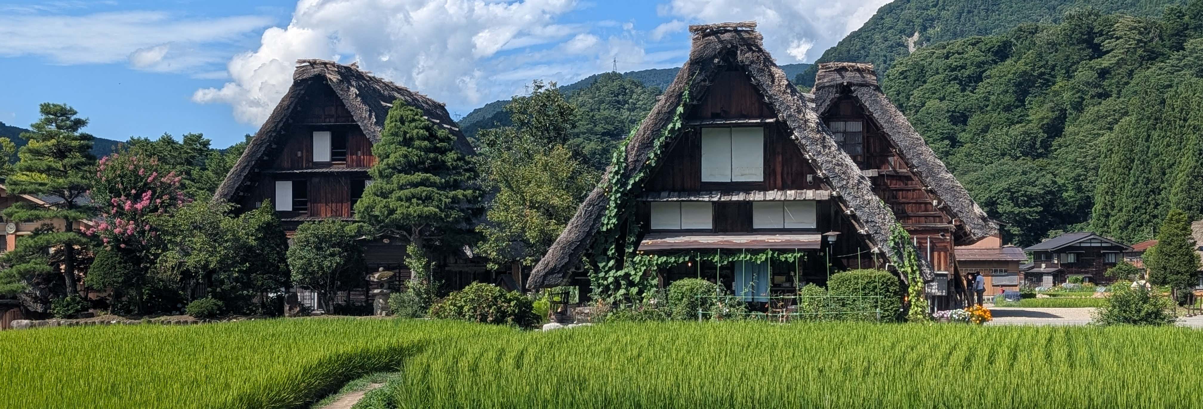Excursiones de un día en Shirakawa