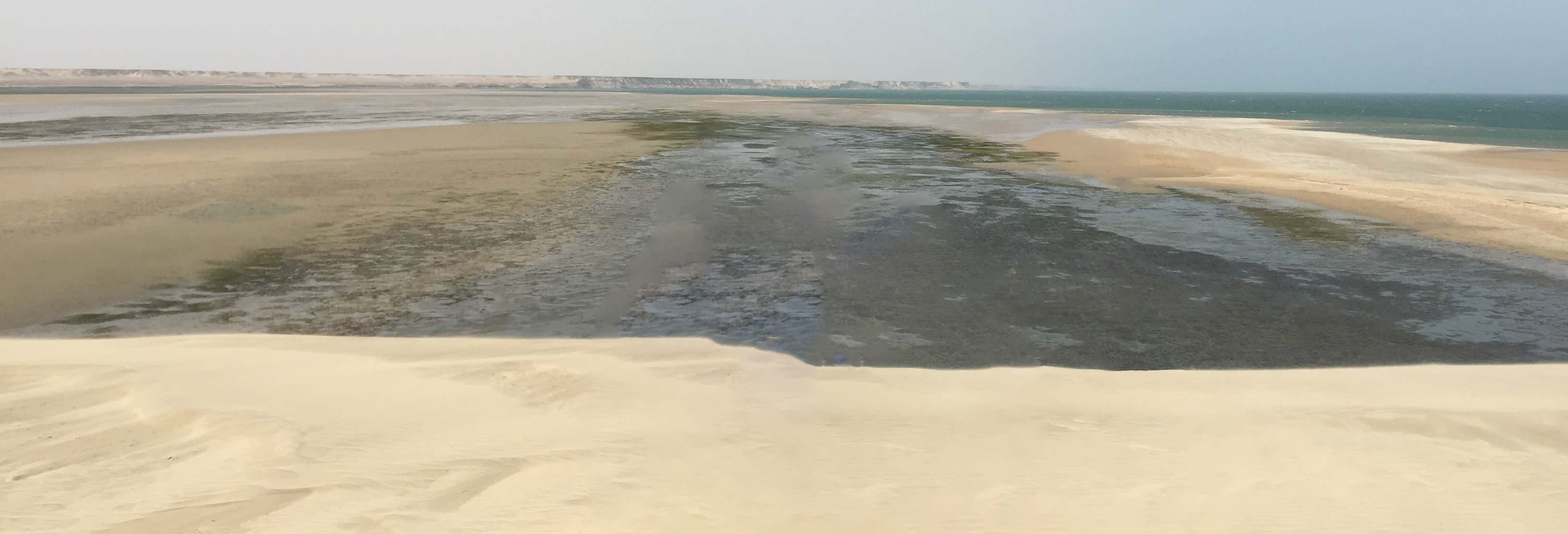 Accion y naturaleza en Dajla