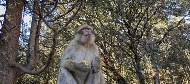 Excursiones de un día