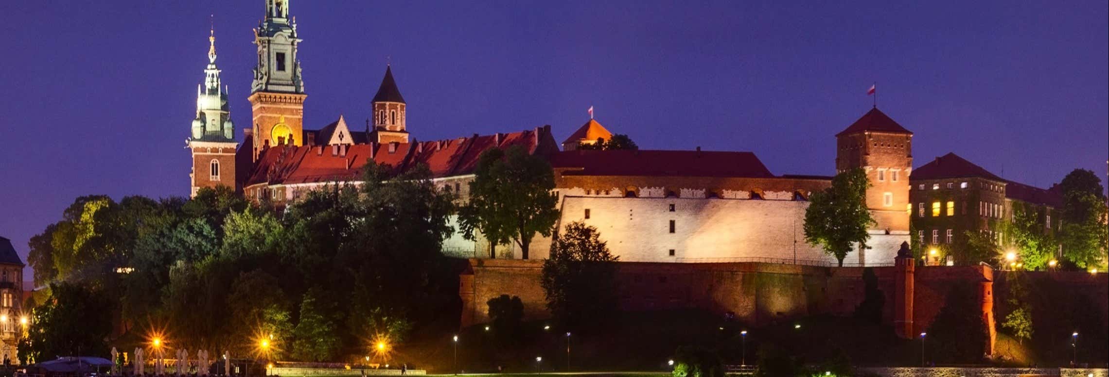 Castillo de Wawel