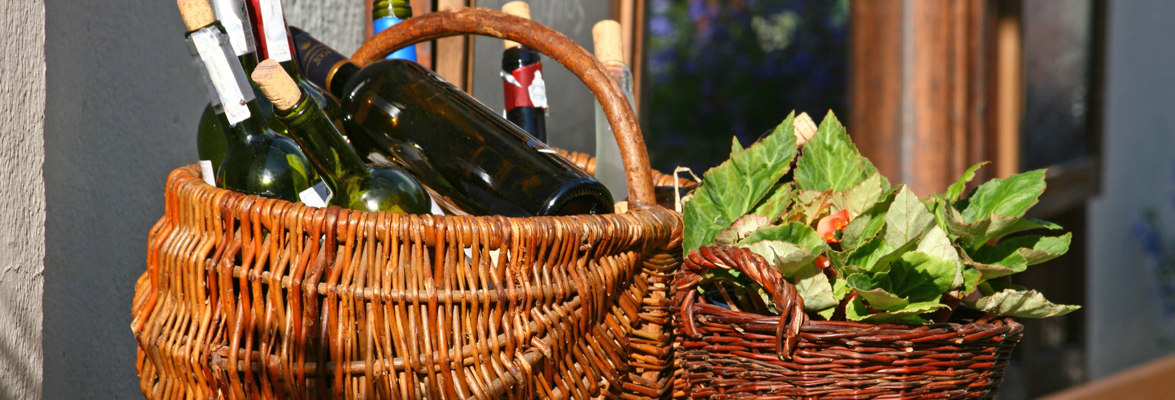 Gastronomía y enoturismo en Breslavia