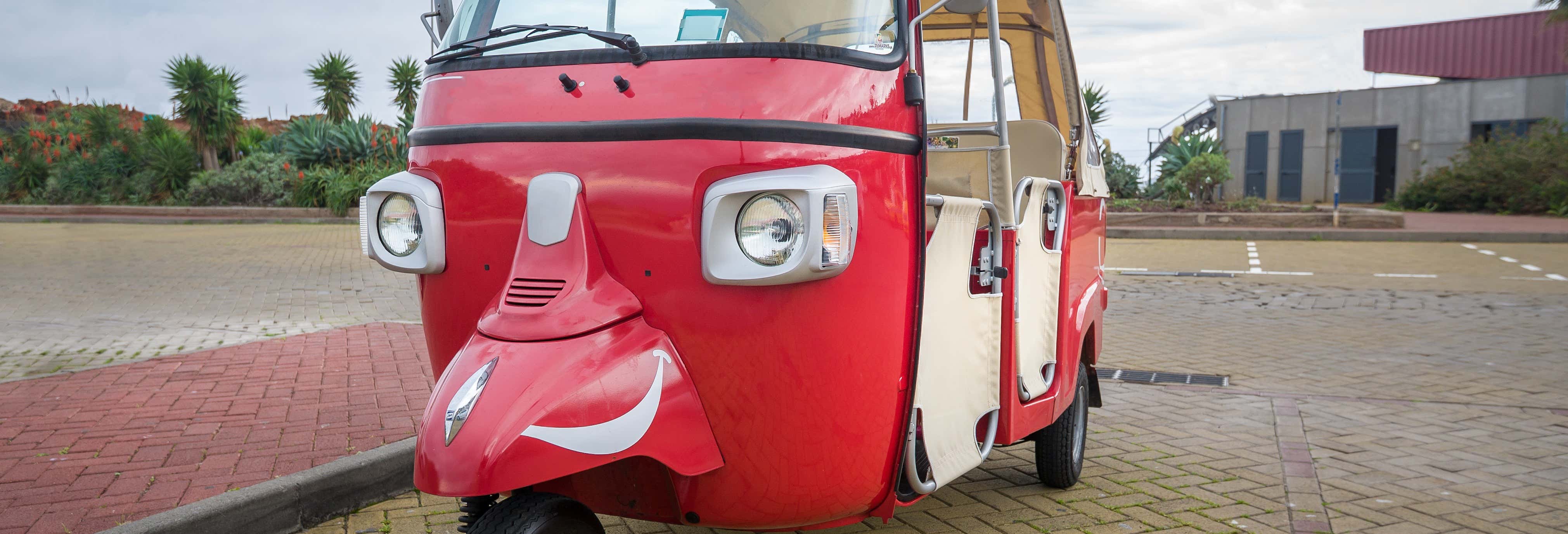 Visitas guiadas y free tours en Funchal