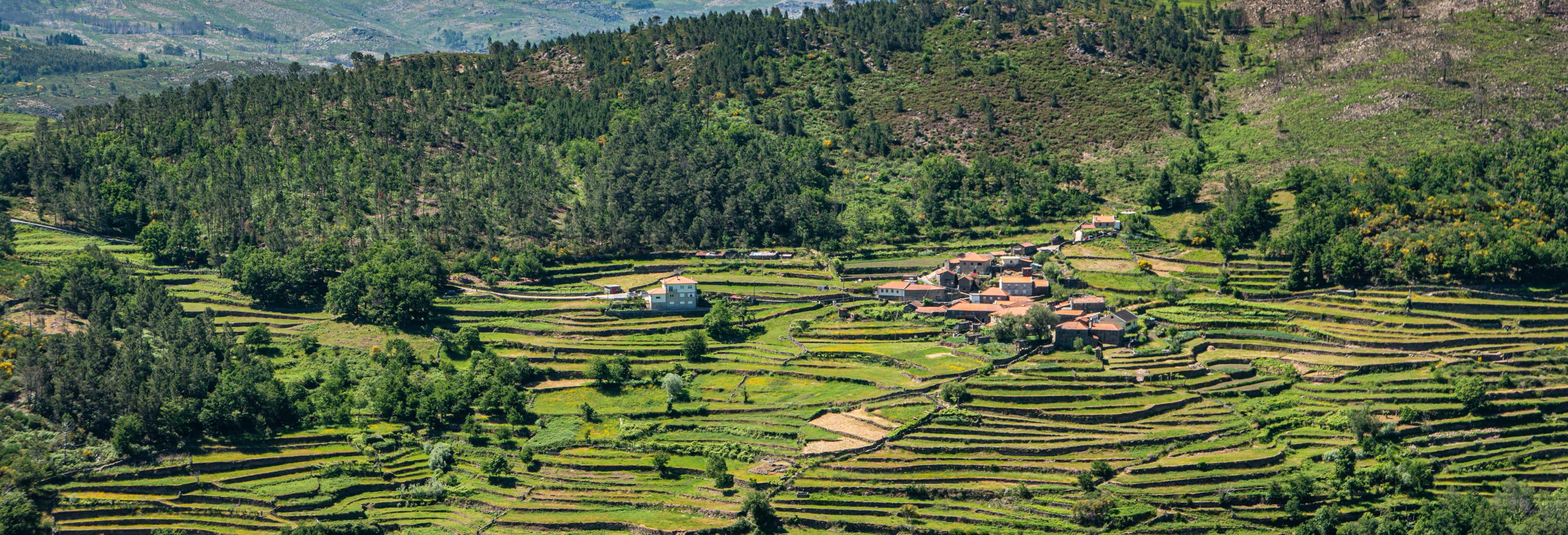 Accion y naturaleza en Sistelo