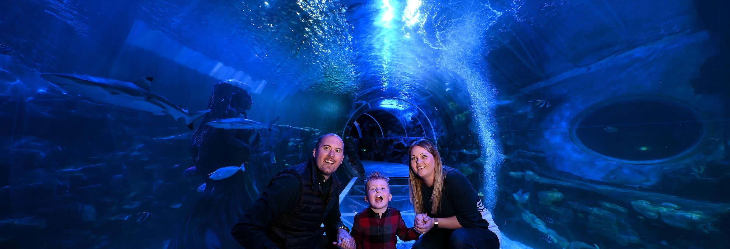 Excursiones de un día en Birmingham