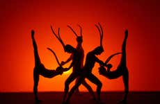 IMAGE Black Light Theater