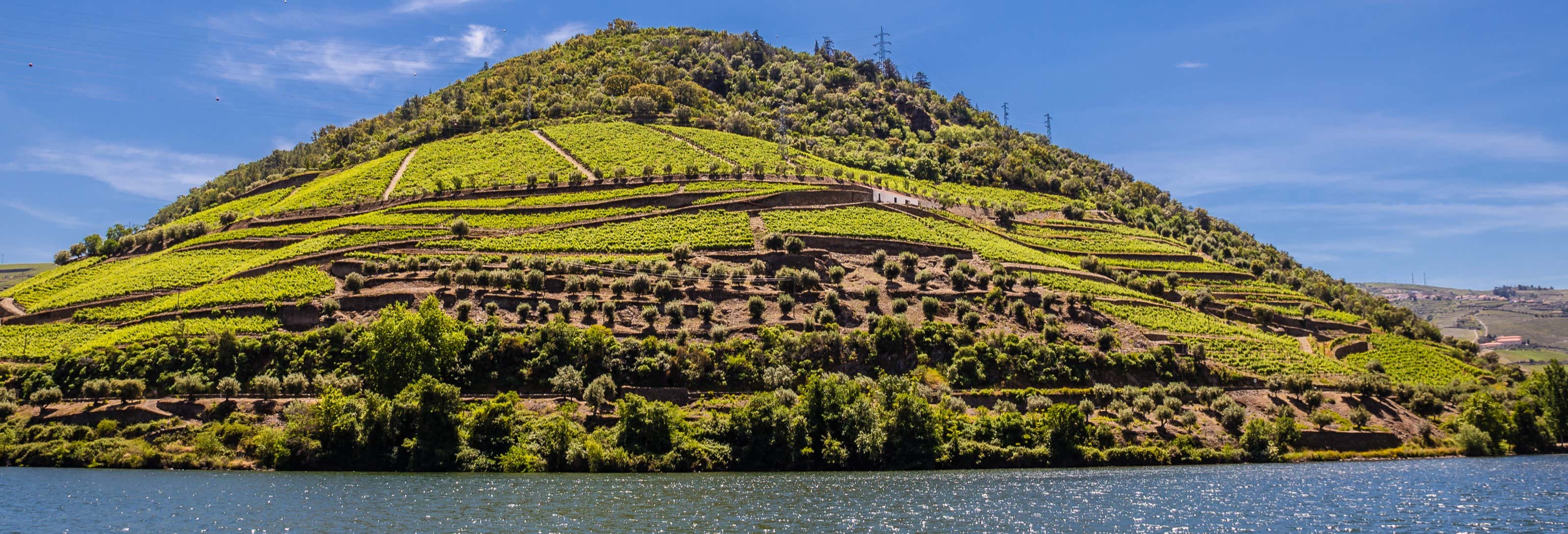 District de Vila Real